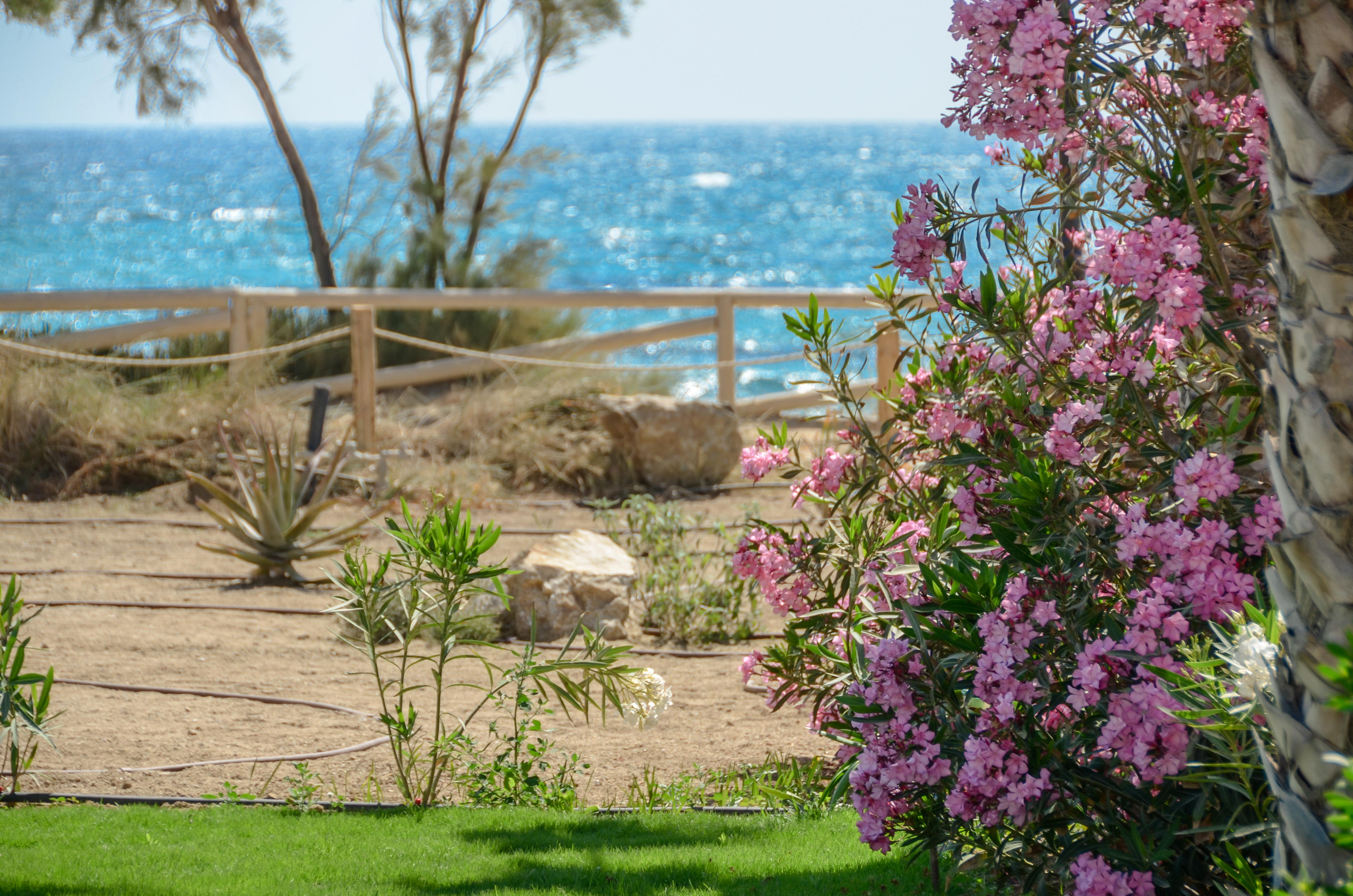 Glaronissi Beach Hotel Maragkas Екстериор снимка